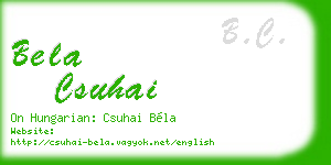 bela csuhai business card